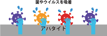 菌とウイルスを吸着